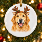 Ornament close-up – Antlers
