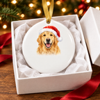 Ornament in gift box